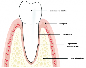 Abutment Calcinabili Dritti Compatibili STRAUMANN® BONE LEVEL® Interno - Foto 8