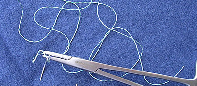 fili di sutura